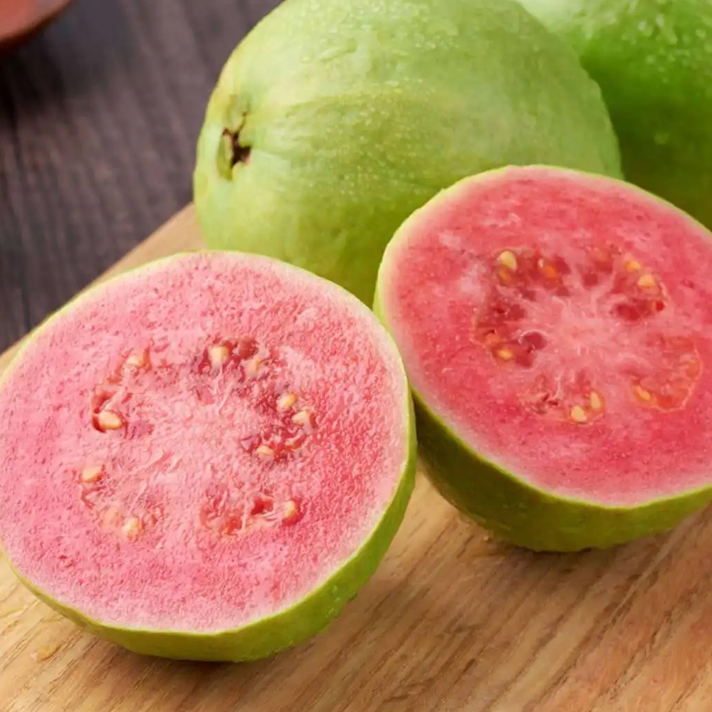 嘉宝果(树葡萄)红心番石榴燕窝果(麒麟果)已售2￥118.