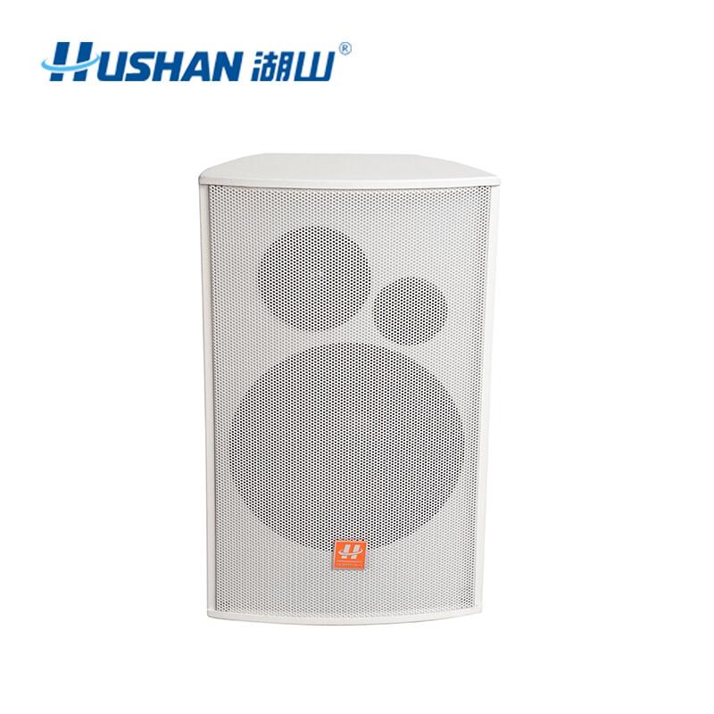 湖山（HUSHAN） 音箱话筒组合套装 专业会议音响设备 音箱HY100C