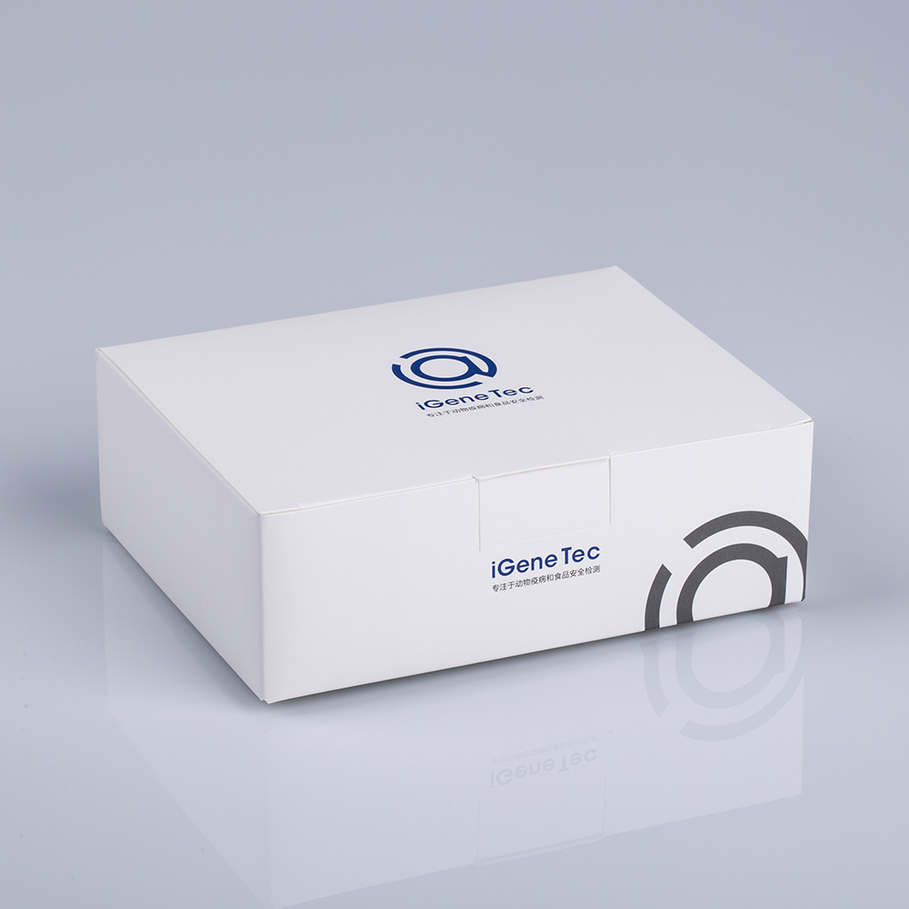 猫贫血五联核酸检测试剂盒